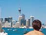 Auckland Driving Routes