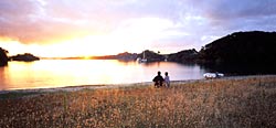 Urupukapuka Island, Bay Of Islands