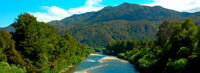 Copyright Ron Laughlin. Lewis Pass, New Zealand