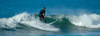 Copyright Ron Laughlin. Surfing on the West Coast, New Zealand