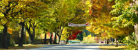 Copyright Ron Laughlin. Autumn in New Zealand