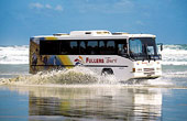Sightseeing coach tour holiday packages in New Zealand