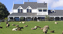 Farmstay Accommodation