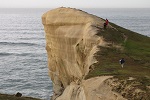 Image of TUNNEL BEACH WALKWAY - Dunedin