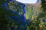 Image of HUMBOLDT FALLS TRACK - Fiordland National Park