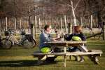 View more images of WINE TOURS BY BIKE - Marlborough Image of WINE TOURS BY BIKE - Marlborough