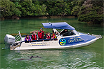 An Abel Tasman Eco Tour in Motueka