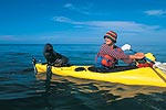 Image of ABEL TASMAN KAITERITERI KAYAKS - Abel Tasman National Park