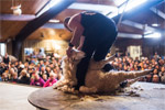 View more images of AGRODOME - Rotorua Image of AGRODOME - Rotorua