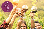 View more images of ALPINE WINE TOURS - Queenstown Apline Wine Tours Logo