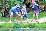 Image of ANATOKI SALMON FISHING & CAFE - Takaka, Nelson