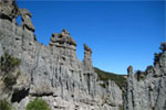 Visit Website of Aorangi Forest Park - Off the beaten track Image of Aorangi Forest Park - Off the beaten track