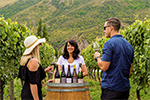 Enjoying Queestown Wine with Appellation Central Wine Tours