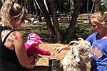 Image of ARION FARM EDUCATION PARK - Christchurch