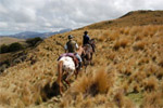 Horse Trekking with Beaumont High Country Experience