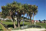 Image of BLUFF CAMPING GROUND - Bluff