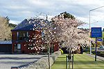 View more images of BROADVIEW MOTELS - Cheviot, North Canterbury Broadview Motels accommodation in Cheviot