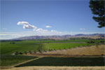 The beautiful setting of Brookby Ridge Cottage in Blenheim