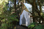 Image of CANOPY CAMPING ESCAPES - Hurunui Jacks, West Coast