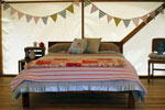 Image of CANOPY CAMPING ESCAPES - Ridge Top Farm - Manawatu