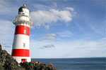 Visit Website of Cape Palliser - Off the beaten track Image of Cape Palliser - Off the beaten track
