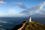 Image of CAPE REINGA / TE RERENGA WAIRUA LIGHTOUSE WALK - Cape Reinga