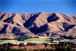 Otago, New Zealand