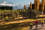 View more images of CYCLE JOURNEYS - Twizel and Mount Cook, Canterbury Image for CYCLE JOURNEYS - Twizel and Mount Cook, Canterbury