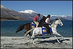 Horse riding on the beach with Dart Stables