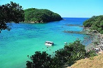 Image of GOAT ISLAND MARINE RESERVE - Auckland