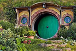Visit Website of DISCOVER NEW ZEALAND - Auckland Image of DISCOVER NEW ZEALAND - Auckland
