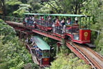 Visit Website of Driving Creek Railway - Off the beaten track Image of Driving Creek Railway - Off the beaten track