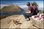 On a nature walk with Eco Wanaka Adventures