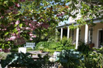 Looking to Edenhouse from the gardens
