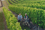 Image of ESCAPE TO MARLBOROUGH - Marlborough