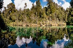 Image of LAKE KAITAWA FAIRY SPRINGS TRACK - Hawkes Bay
