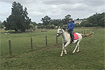 Enjoying the flying fox at Fun Farm Stay
