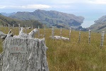 Image of BANKS PENINSULA WALKS - Canterbury