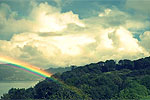 Visit Website of GLENFERN SANCTUARY - Great Barrier Island Image of Glenfern Sanctuary