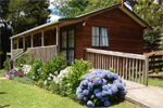 Visit Website of KARANGAHAKE GOLD'n VIEWS COTTAGE - Karangahake Gorge Image for KARANGAHAKE GOLD'n VIEWS COTTAGE - Karangahake Gorge