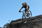 Image of HABITAT SPORTS - Westport