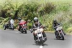 View more images of BULARANGI MOTORBIKES - HARLEY DAVIDSONS IN NEW ZEALAND - Nationwide On a motorcycle tour with Bularangi Motorcycle Tours