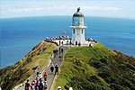 Image of HARRISONS CAPE RUNNER - Kaitaia