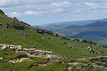 Stay at Haurata High Country Retreat and Walk in Gisborne