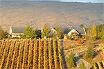 Image of HAWKDUN RISE VINEYARD ACCOMMODATION - Alexandra