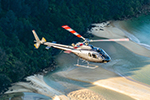 Image of REID HELICOPTERS - Nelson