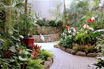 Image of BOTANICA WHANGAREI - Whangarei