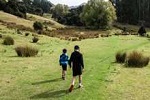 Visit Website of PACKHORSE HUT TRACK - Banks Peninsula Image of PACKHORSE HUT TRACK - Banks Peninsula
