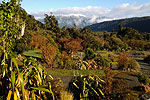 Image of JACKSON'S RETREAT CAMPERVAN PARK - Jacksons, West Coast