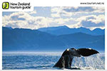 Image of Kaikoura Postcard